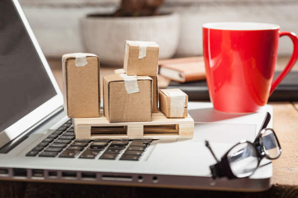 Servizio Logistica per siti E-commerce Logistica e Micrologistica